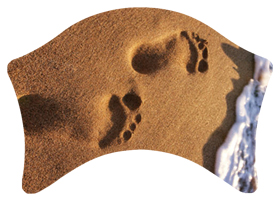 (Beach) Footprints